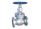 300lb ASTM A216 Wcb Globe Valve With Flanged / Butt - Welding End Connection